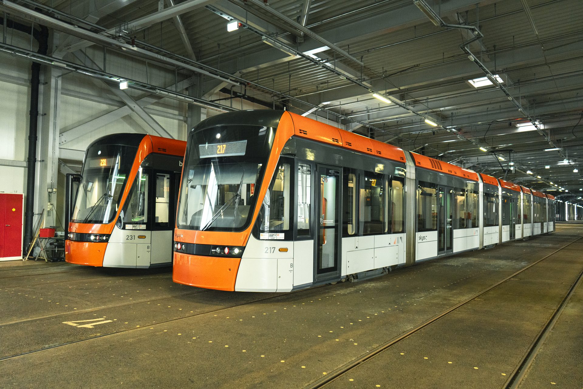 The fleet gathered in the depot, ready for the night's treatment