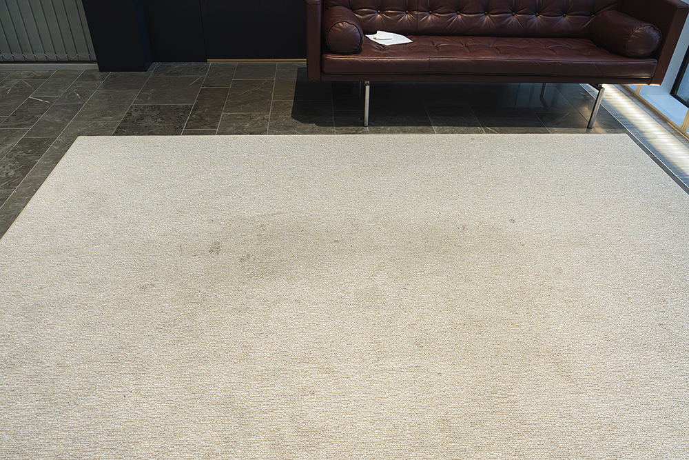 Before treatment – light lobby carpet with shadowing and walk lines
